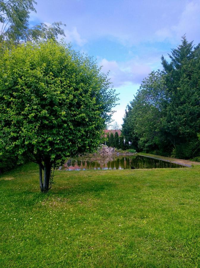 Vadvirag Panzio Hotel Agfalva Bagian luar foto